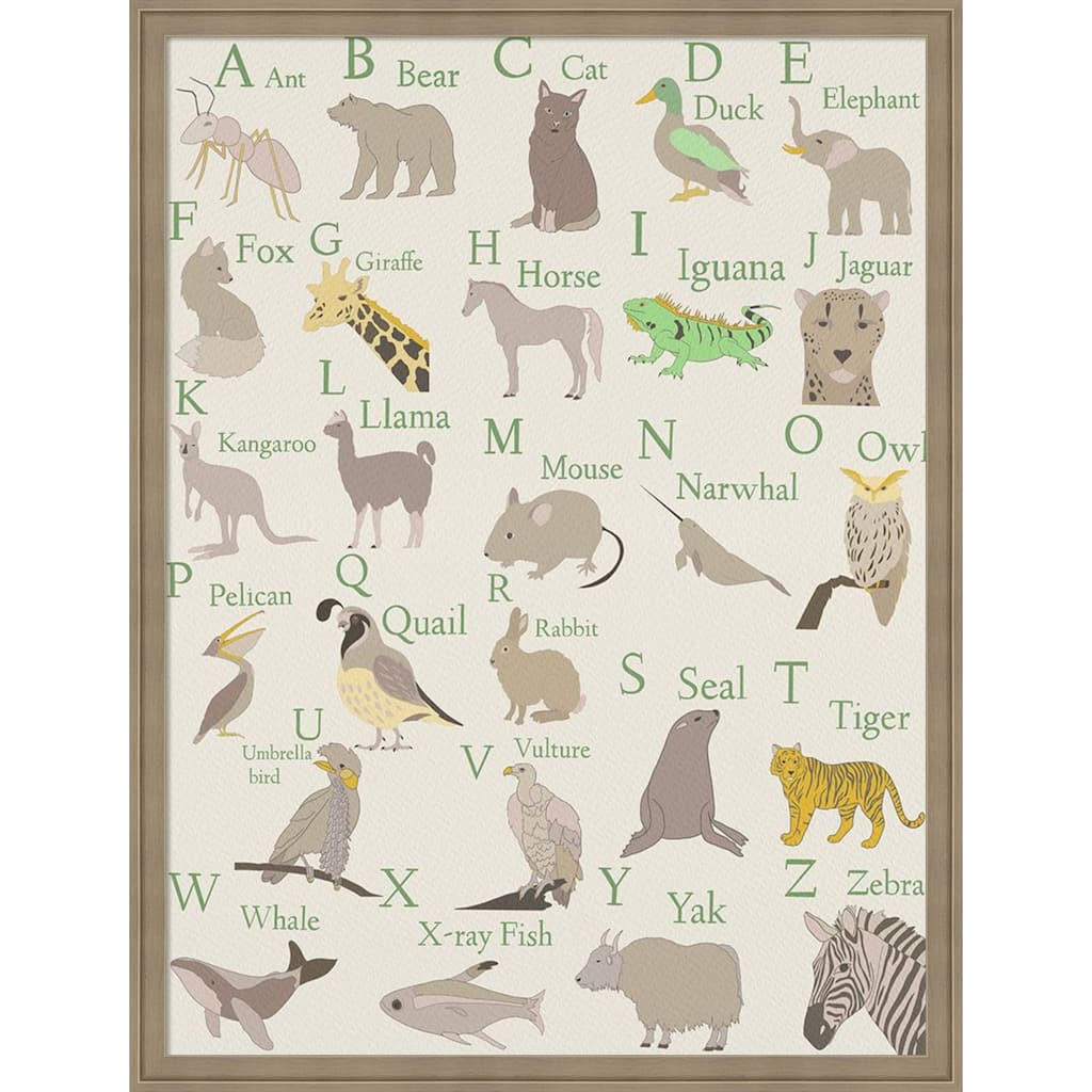 Amanti Art Framed Fabric Pinboard Animal Alphabet II by Regina Moore Printed Bulletin Board - Board Size 24 x 32