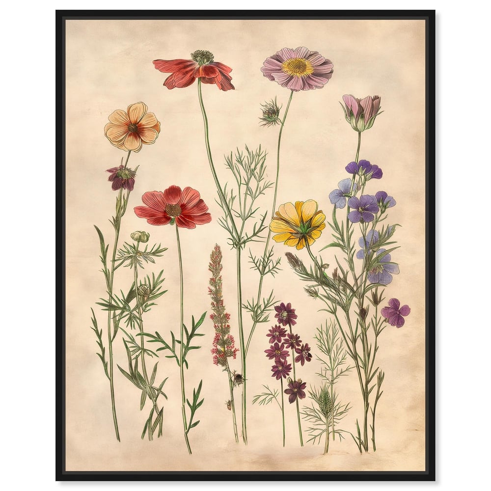 Pollinator Portrait II Canvas by Art Remedy