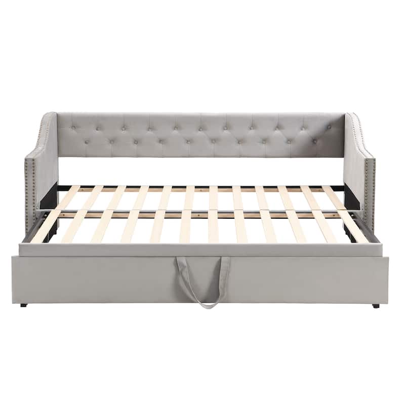 Twin to King Daybed with Pop Up Trundle, Button Tufted Backrest and Wooden Slat Support