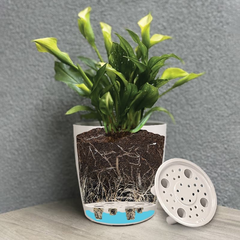 Bamboo Blooms Self-Watering Plant Pot Set of 3 - 5"-7"-10"Round