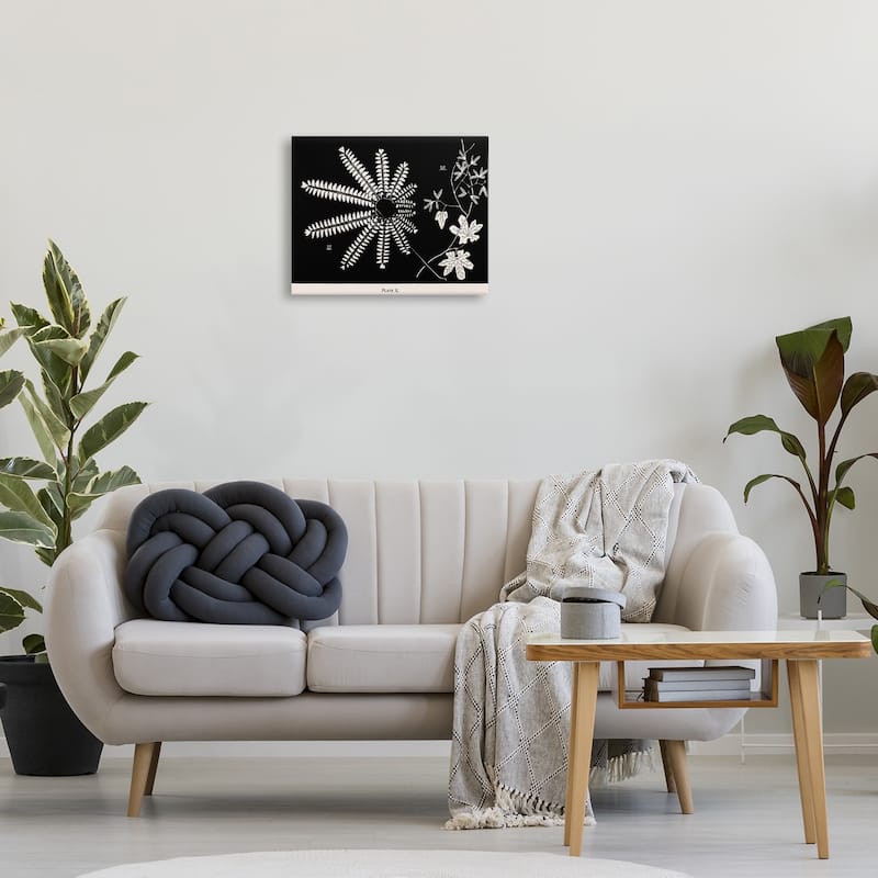 Stupell Ferns & Leaves on Black Canvas Wall Art Design By Phillipa Katz