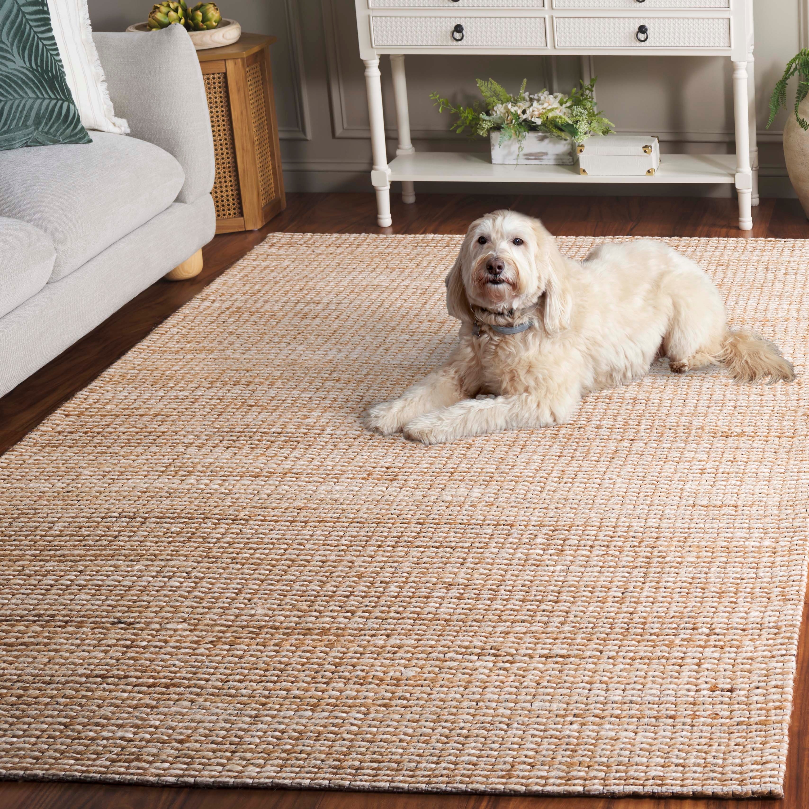 SAFAVIEH Flatweave Natural Fiber Bessi Farmhouse Hemp Rug - On