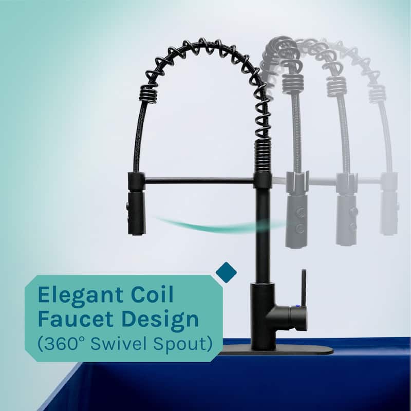 TEHILA Utility Sink Laundry Tub with Black High Arc Coil Faucet