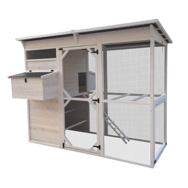 Zylina Modern Walk-in Chicken Coop