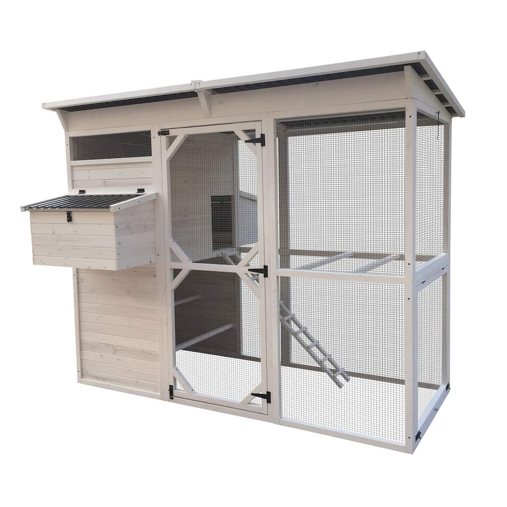 Zylina Modern Walk-in Chicken Coop