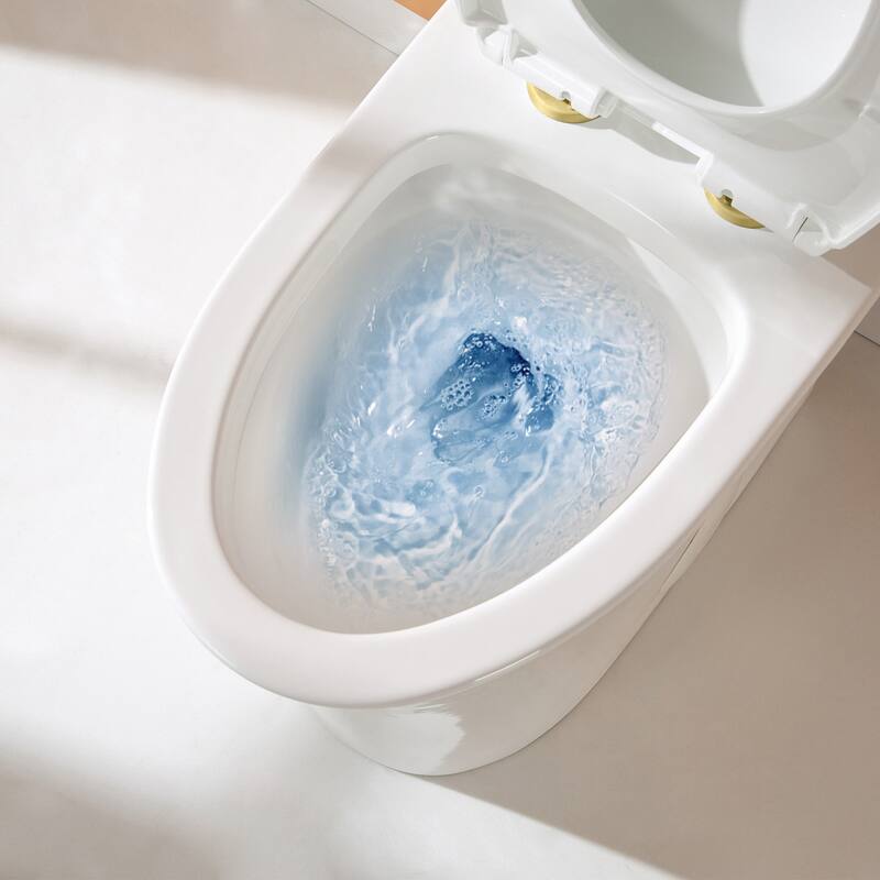 HOROW 1 Piece Dual Flush Elongated Toilet White 0.8 1.28 GPF Seat Included Brushed Gold Button - N/A