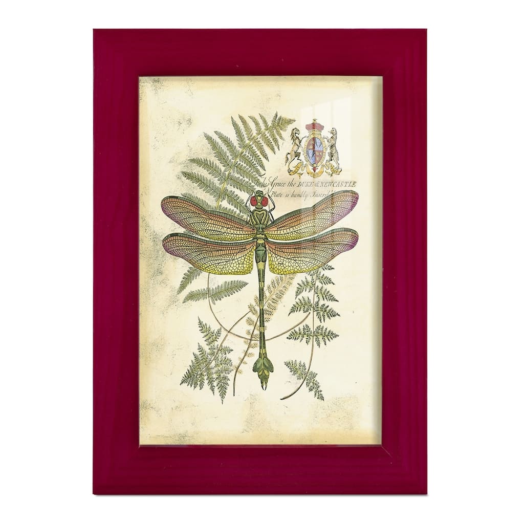 Regal Dragonfly III (PP) -Framed Print w/glass-Cherry Red