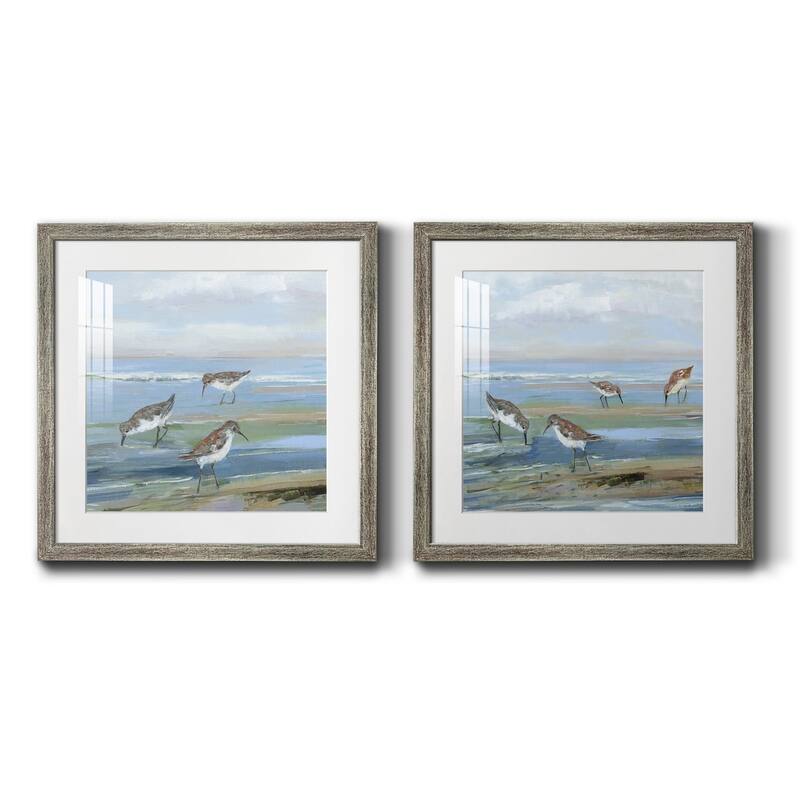 Seabird Beach I- Premium Framed Print - Ready to Hang