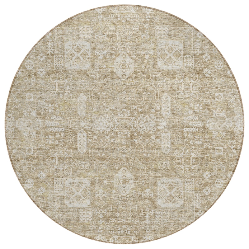 Machine Washable Indoor/ Outdoor Chantille Vintage Traditional Rug