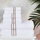 Turkish Cotton 6 Piece Absorbent Heavyweight Towel Set by Superior - Toast