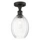 Option Oil Rubbed Bronze / Clear