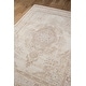 preview thumbnail 19 of 26, Momeni Isabella Vintage Traditional Medallion Area Rug