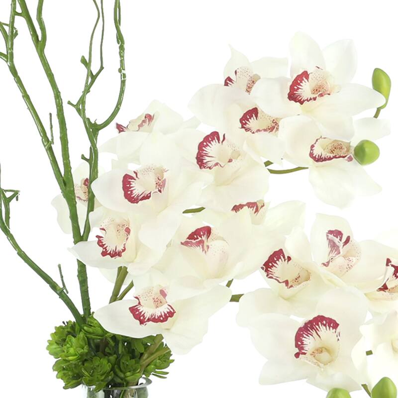 Orchid Arrangement with Vines - 23