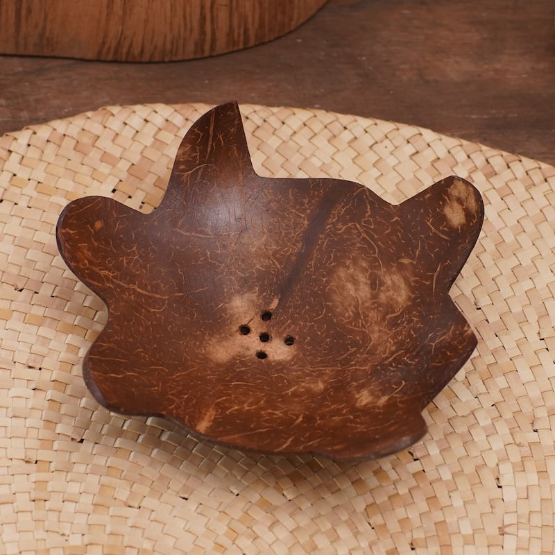 Novica Handmade Come Clean Coconut Shell Soap Dish - Brown