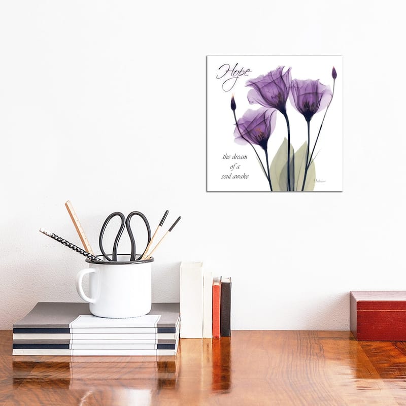 iCanvas "Hope Tulip" by Albert Koetsier Canvas Print - 12x12x1.5
