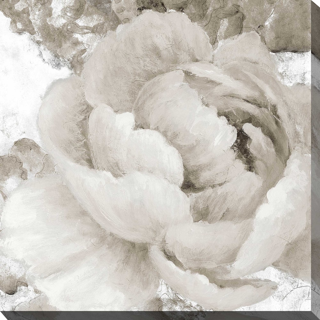 "Light Grey Flowers II" Print on Canvas