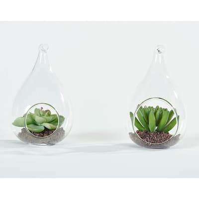 4.5" Artificial Succulent in Hanging Or Tabletop Glass Vase Terrarium, Set of 2 - 4.5