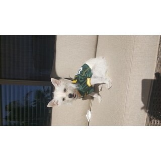 Top Product Reviews For Green Bay Packers Dog Jersey 15921507 Overstock