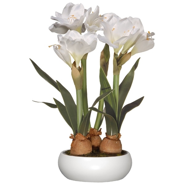 20" White Amaryllis Flowers - N/A