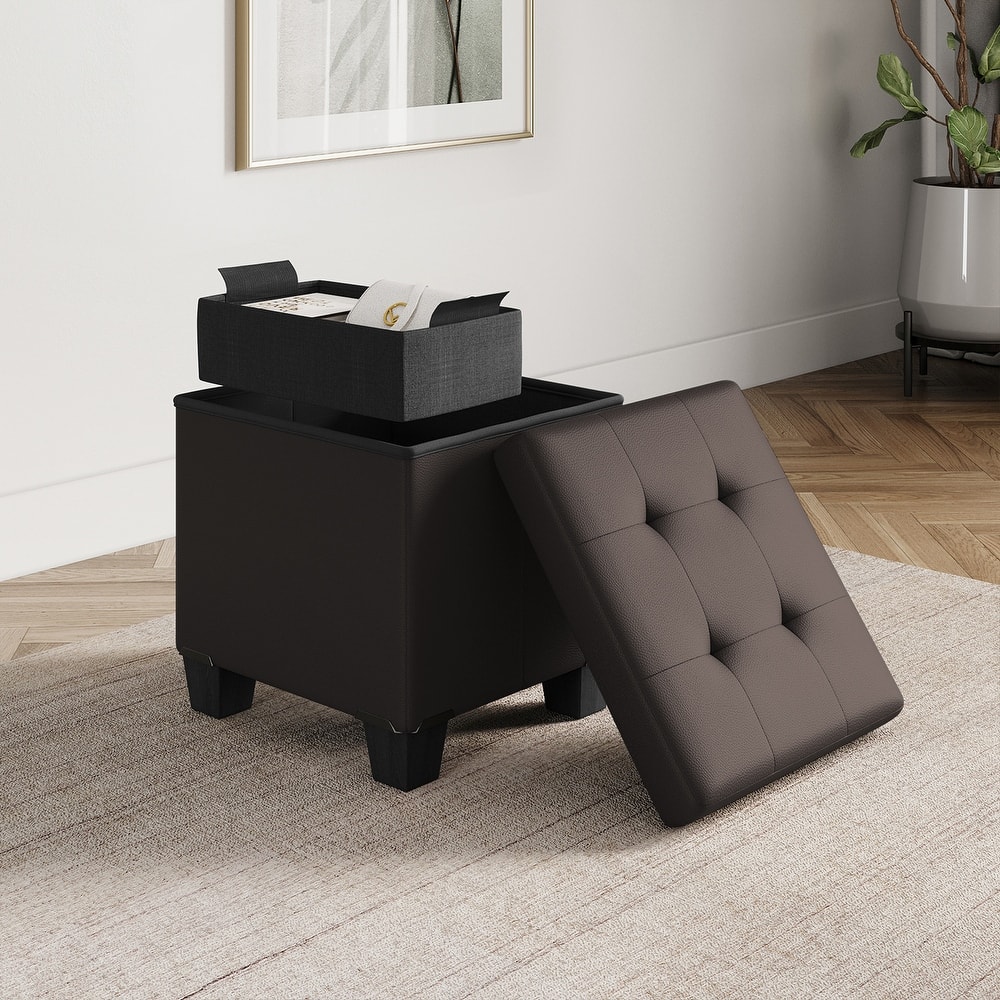 Empyrean Tuffted Folding Foot Rest Storage Ottoman Bench with Storage Bins