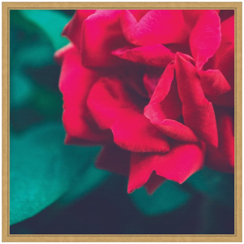 Kate and Laurel Sylvie Red Velvet Garden Rose Framed Canvas by Stephanie Klatt