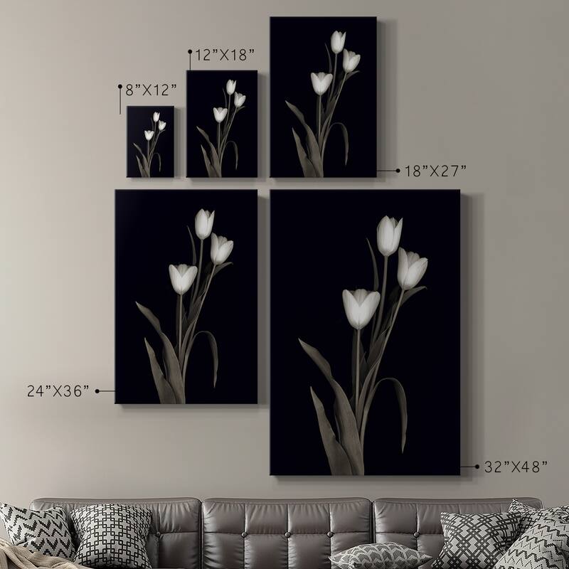 Tulip Pose I Premium Gallery Wrapped Canvas - Ready to Hang