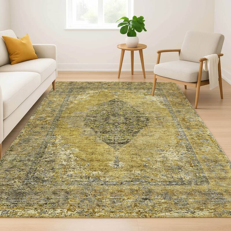 Premium Washable Super Soft Vintage Traditional Mayfield Rug