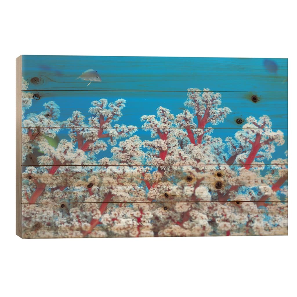 Red & White Gorgonian Coral Print On Wood by Unknown Artist - Multi-Color