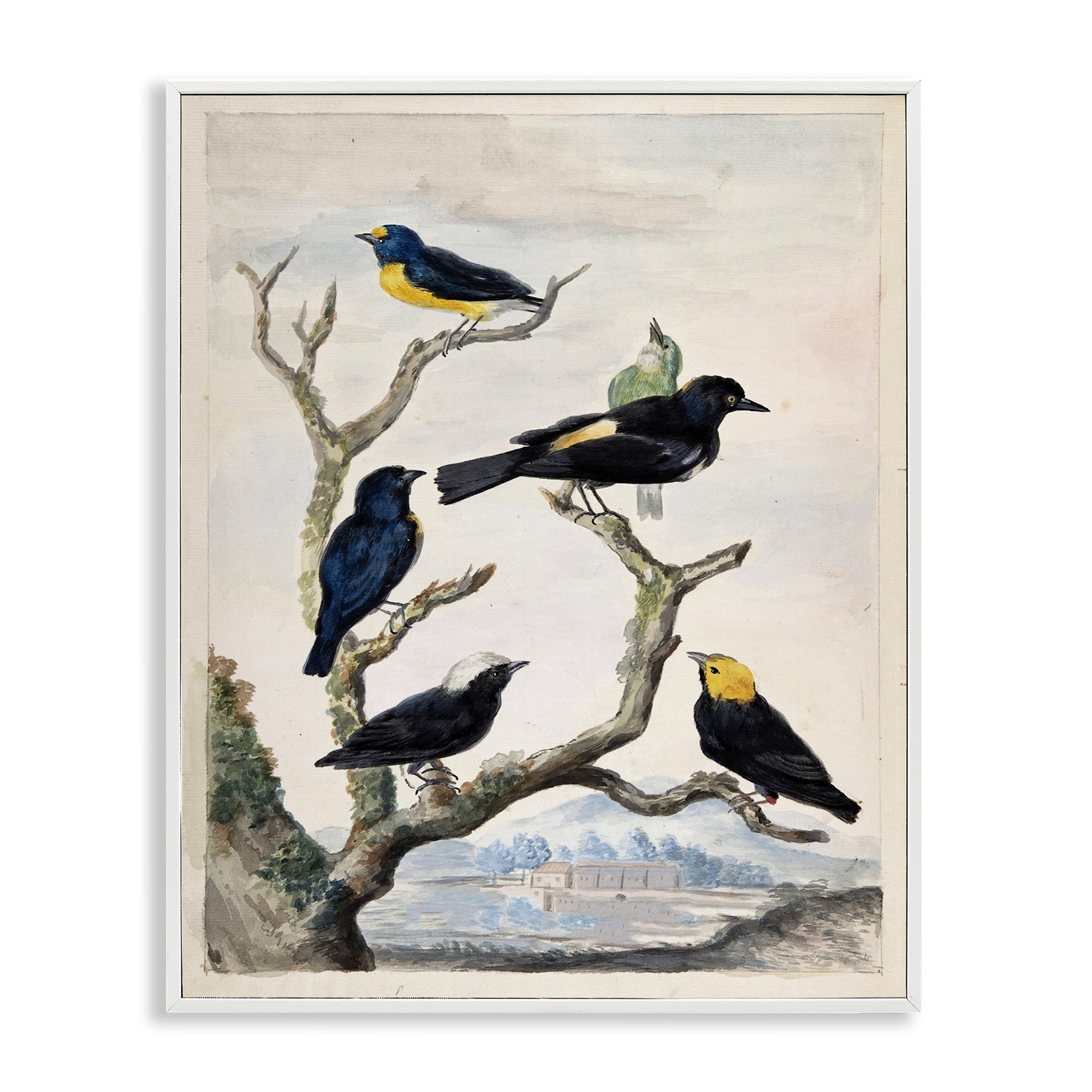 Stupell Perched Birds on Branches Framed Giclee Art Design By Stellar Design Studio