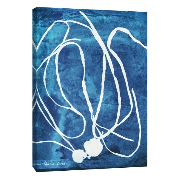 PTM Images 9-105774 PTM Canvas Collection 10" x 8" - "Natural Forms Blue 5" Giclee Seaweed Art Print on Canvas