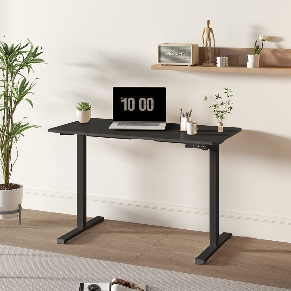 Electric Adjustable Standing Desk, 48x24 Home Office Workstation