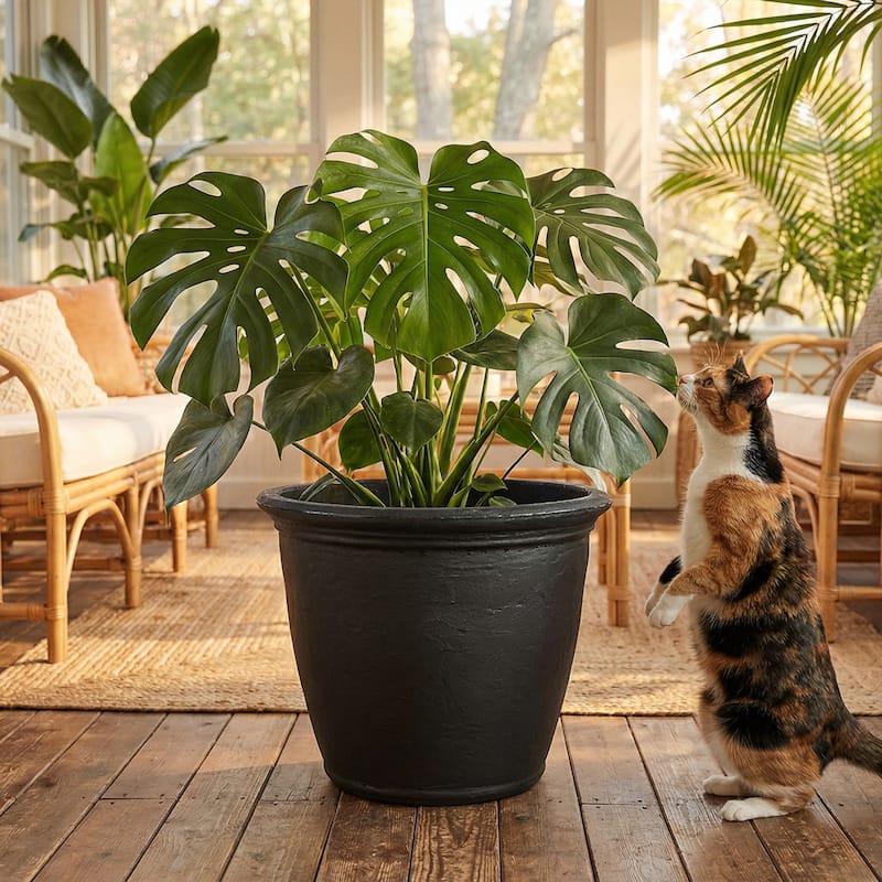 Sunnydaze Anjelica Polyresin Large Round Outdoor Planter - 24" - Set of 2