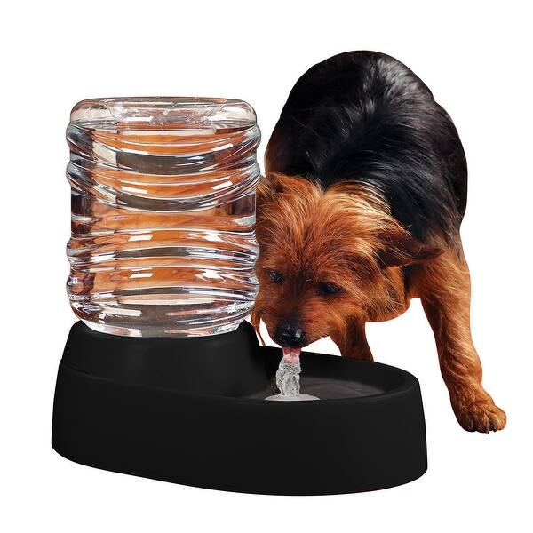 Shop Etna Electronic Pet Water Fountain And Dish Black 13 In