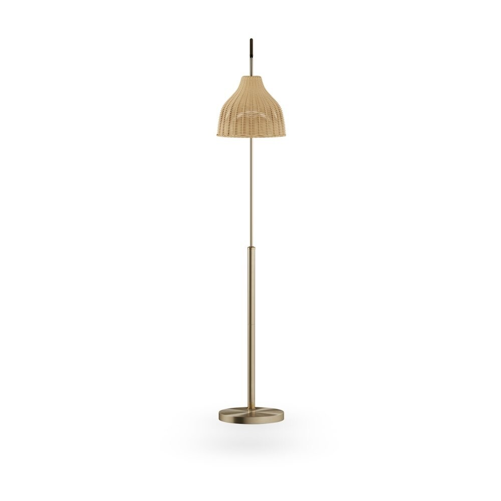 Floor Lamp with Rattan Shade by Drew Barrymore Flower Home Antique Brass as picture Bed Bath Beyond 37629959
