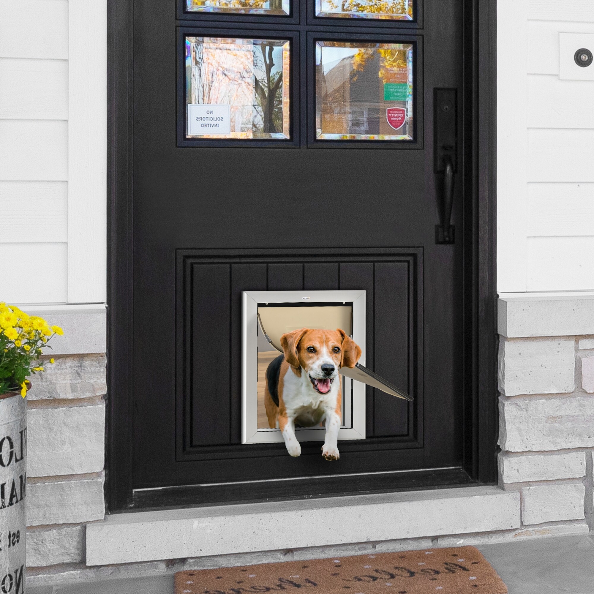 two way dog door