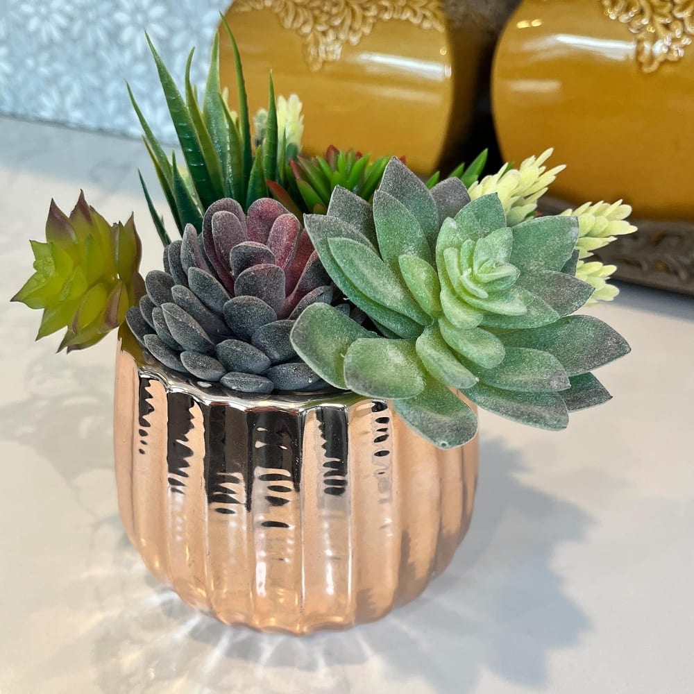 Admired By Nature Planters Pots, Modern Ceramic for Home Décor
