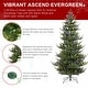 preview thumbnail 27 of 55, Glitzhome 6FT/7FT Multi-color Lighted Fir Christmas Tree with Remote Controller