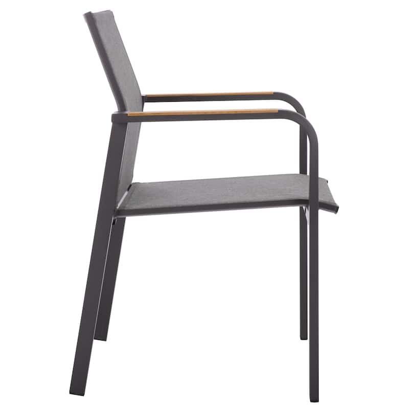 SAFAVIEH Outdoor Living Dexter Armchair with Teak (Set of 2)
