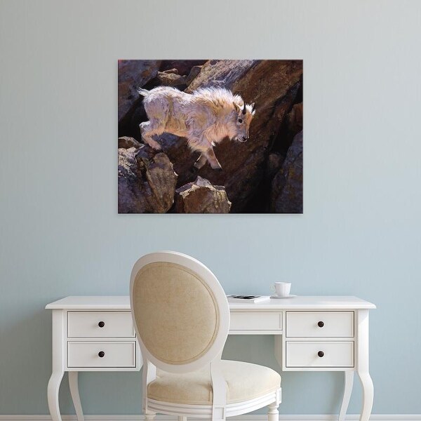 Easy Art Prints Julie T. Chapman's 'Rockhopper' Premium Canvas Art