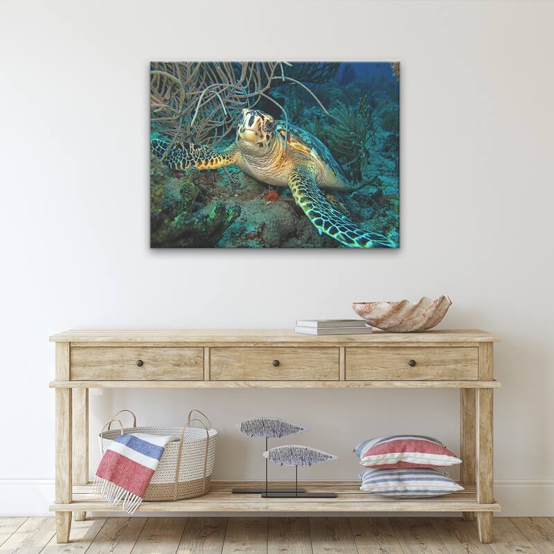 Ready2HangArt 'Turtle' Wrapped Canvas Wall Art