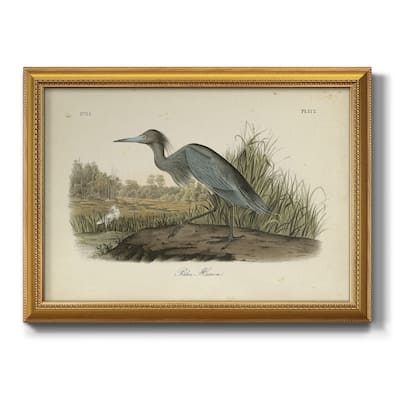 Audubons Blue Heron Premium Framed Canvas- Ready to Hang