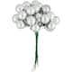 Option Silver