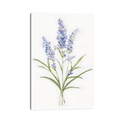 iCanvas "Dainty Botanical Lavender" by Sally Swatland Canvas Print