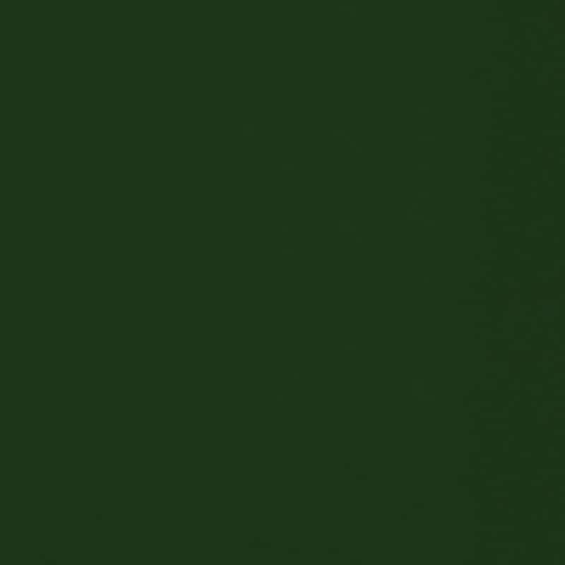 TruPedic Porch & Den Hansen Full-size 5-inch Futon Mattress - Frame Not Included