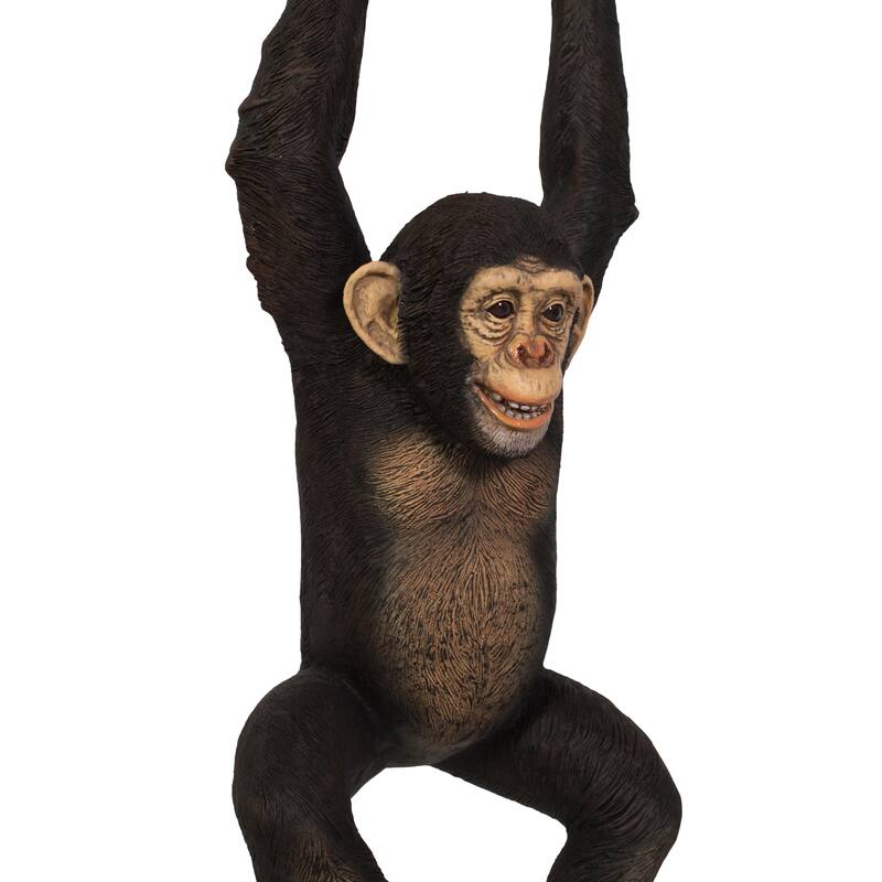 Hanging Jungle Jimmy K