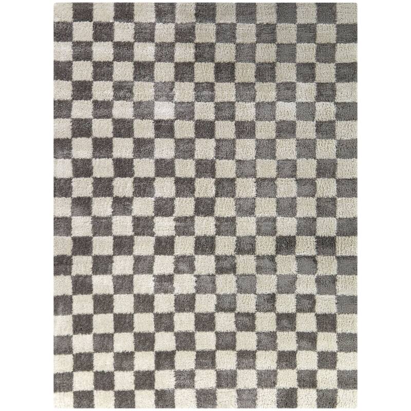 Havill Classic Checkered Area Rug