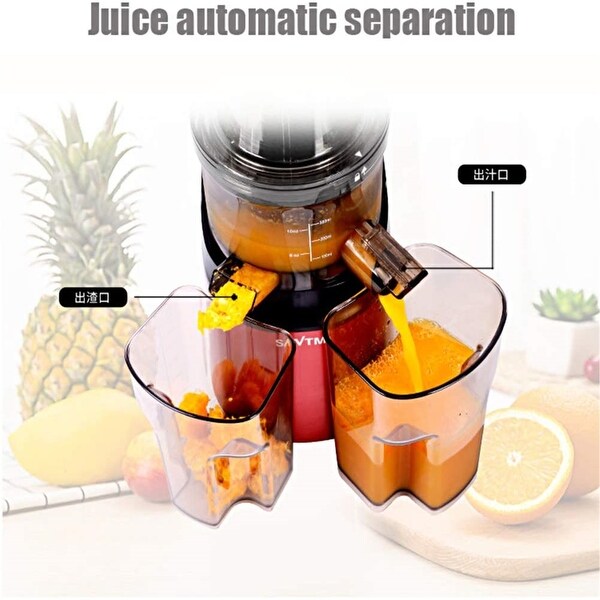 fruit juicer machine