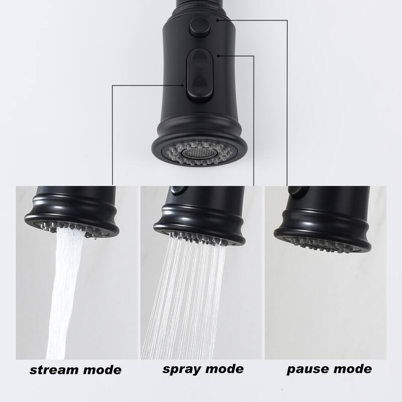 Kitchen Faucet with Pull Out Spraye - Matte Black