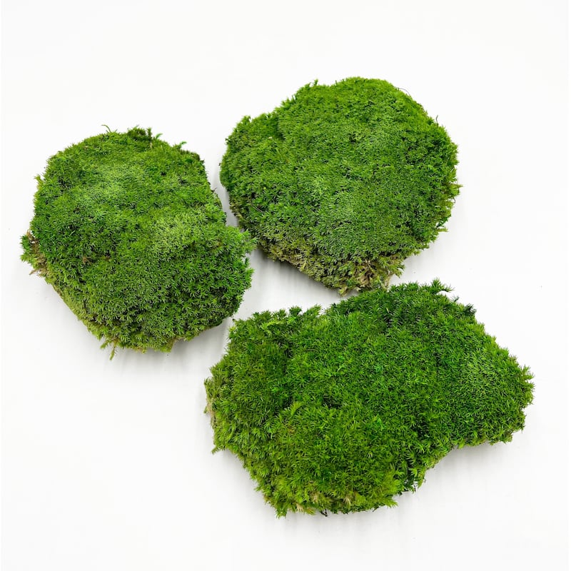 Preserved Pole Bun Pillow Cushion Moss - 15X12 - Grass Green