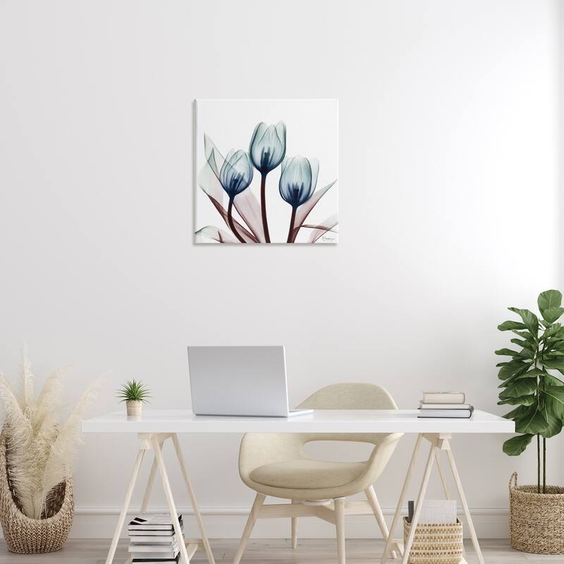 Stupell Chic Blue Translucent Tulips Canvas Wall Art Design By Albert Koetsier